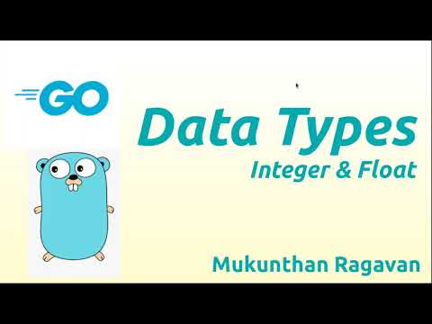 Go Data Types - Integer. Float