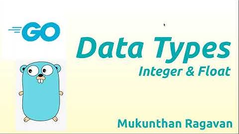 Go Data Types - Integer. Float