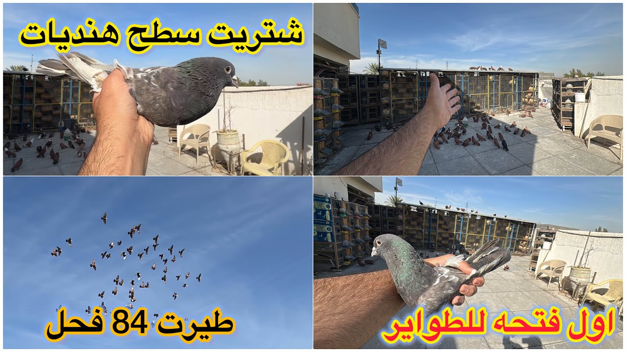 شتريت هنادي فوول❤️طيرت 84 فحل😍😍