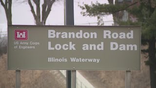 Asian Carp barrier project on Des Plaines River delayed as federal funds hang in limbo