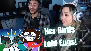 My Birds Laid Eggs... | Jaiden Animations Reaction!!