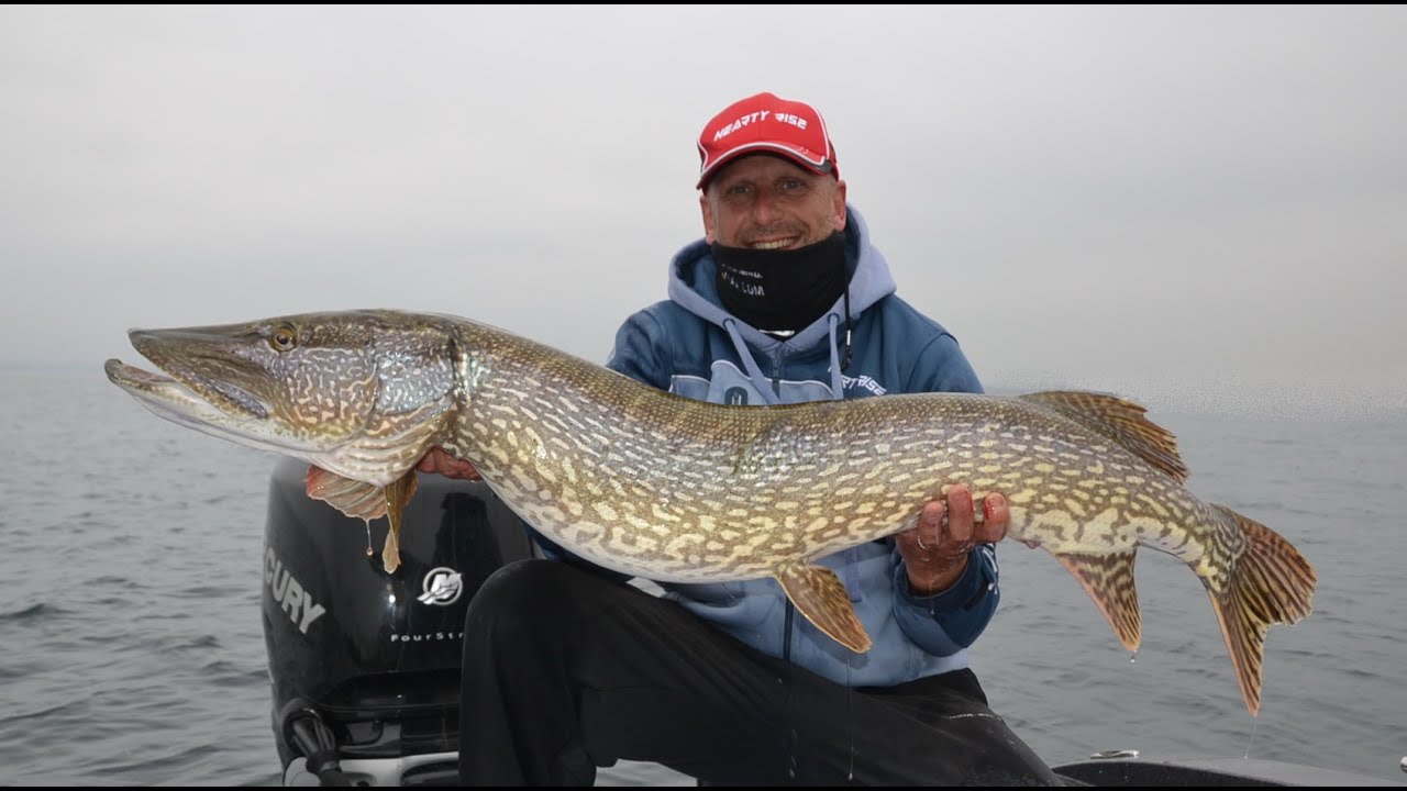 Arnaud Fileppi et les brochets du lac Léman YouTube