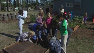 Oak Harbor school awarded 'Green Ribbon'