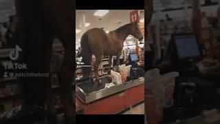 WHAT IS GOING ON!! 🤣 #shorts #shortvideo #shortsfeed WHAT IS GOING ON!! 🤣 #shorts #shortvideo #shortsfeed
