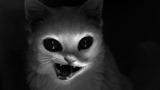 Amnesia Enigma Pt. 8 Demon Cat Too?