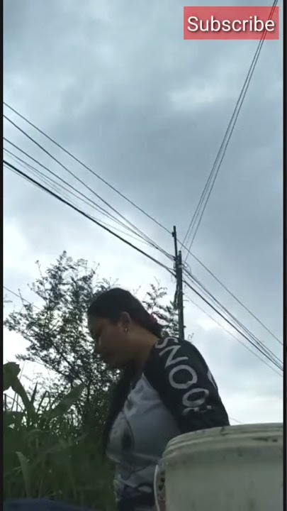 CEWEK CANTIK MANCING IKAN DI SUNGAI, mancing ambyar official #shorts