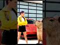 Rumi Stole Capybara’s Jelly Chair… and Mom Gave the Supercar to Capybara! #capybara