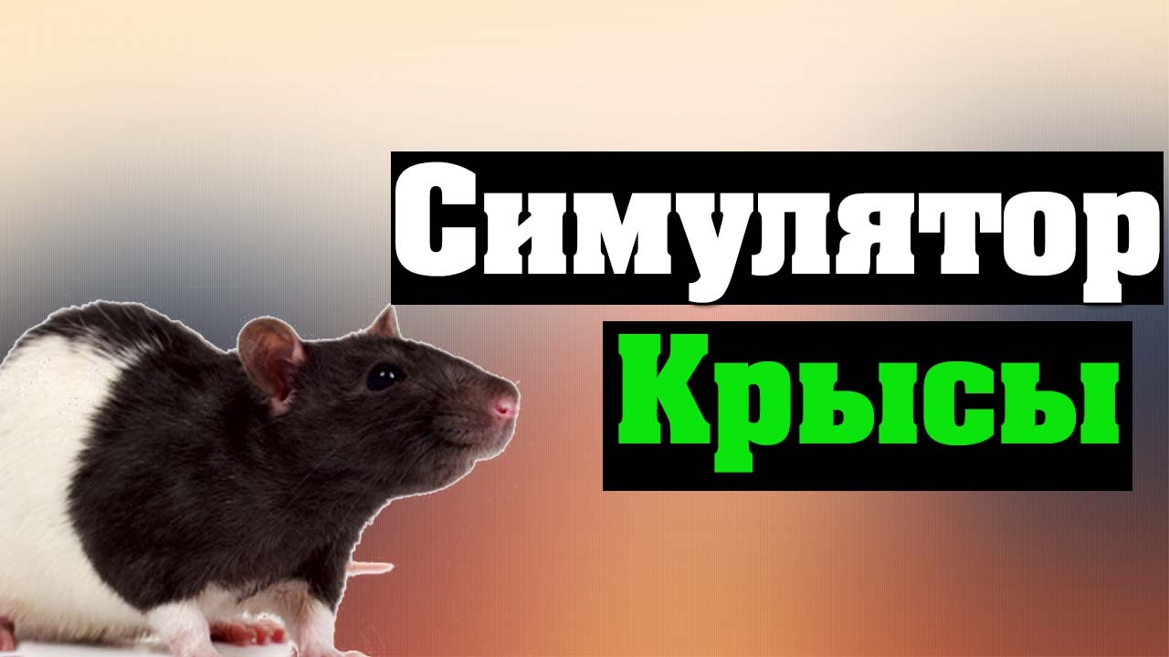 Игра Крысы Онлайн