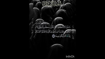 سوره النساء عدد آياتها ١٧٦ آيه (سوره مدنيه ) الآيه ٢٩