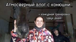 Конкурная тренировка и атмосфера конюшни в Паньково