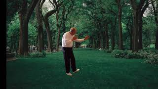 Tai Ji Part 3 Form 79 Left Retreat & Repulse Monkey