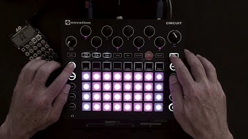 The Midges (Bill Wells Cover / Novation Circuit)