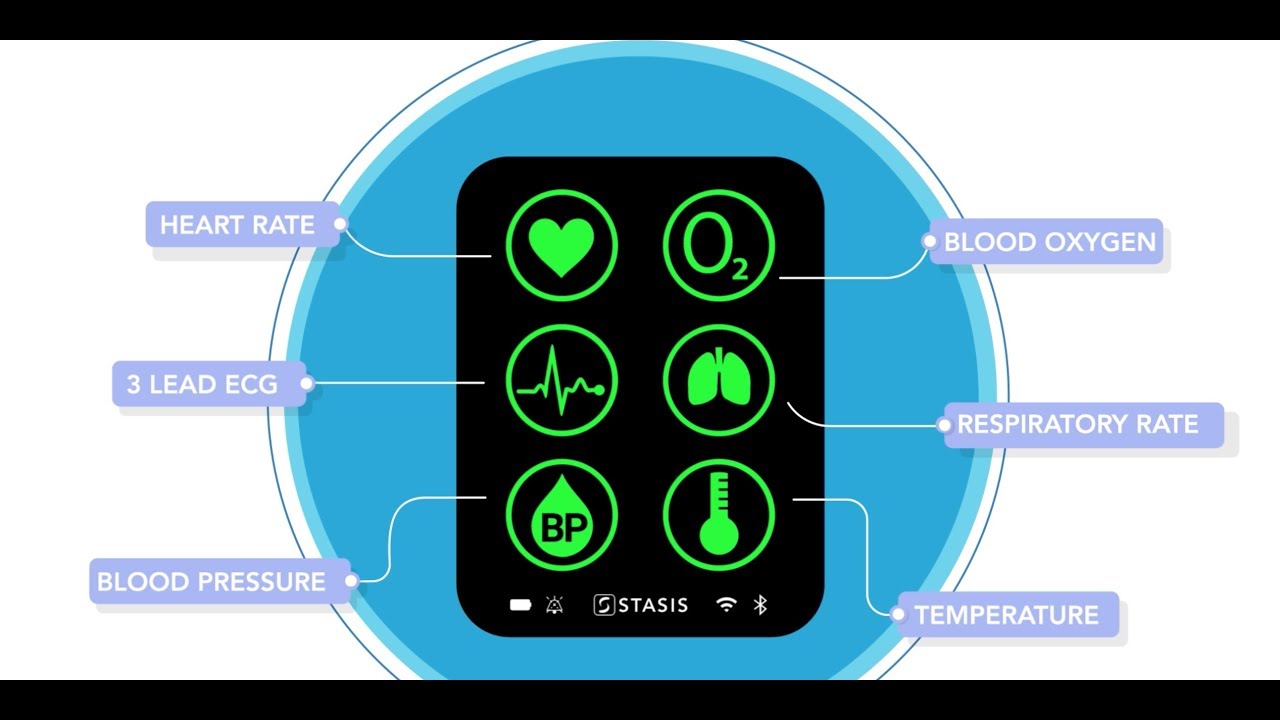 Stasis Explainer Video - YouTube