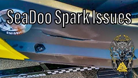 Sea Doo Spark & Spark Trixx Issues & Sinking 4K