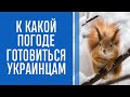 Климатолог назвала самый холодный месяц грядущей зимы