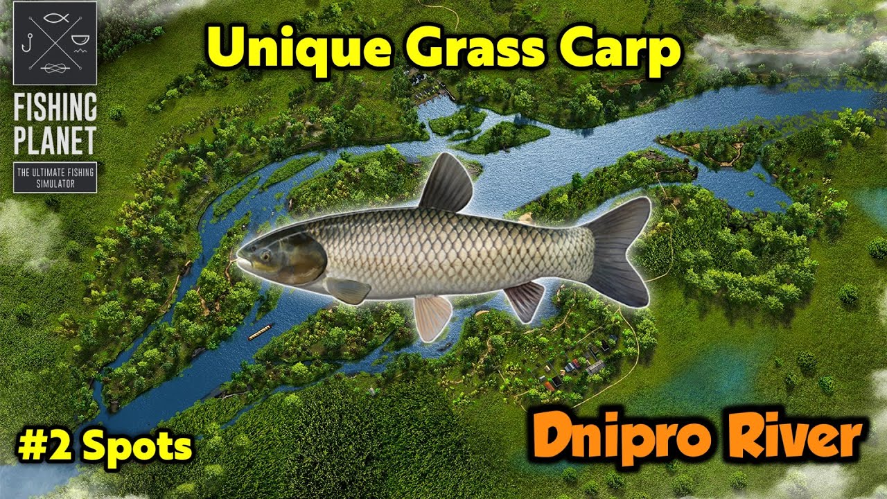 Unique Grass Carp Dnipro River - Fishing Planet