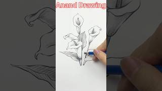 Haw to draw a Flower #how to #draw a#flower #shorts #video #trending #viral #video