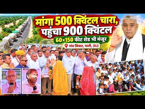 गांव सियाट, पाली (राजस्थान): 18 गाड़ियों में पहुंचा 900 क्विंटल चारा, गौशाला को बड़ी सौगात