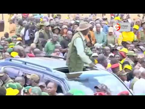 President Ruto launches cocoa farming in Kitale, targets higher farmers’ incomes