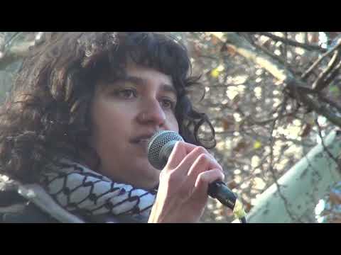 Shut Down Black Friday Rally For Palestine at Washington Square Park