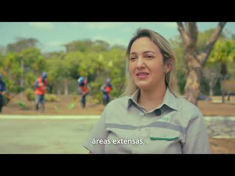 Usiminas realiza manutenção das áreas verdes - video from Usiminas