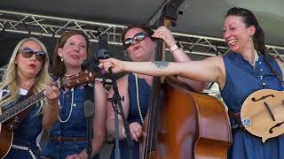 Fox Crossing String Band - Summer Stomp Music Festival 2019