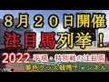 【注目馬列挙・平場予想】2022年8月20日JRA平場特別戦！先週日曜日は注目馬4勝！各場の特徴掴んで土曜日から好走馬を狙いたい！