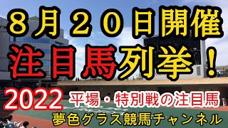 【注目馬列挙・平場予想】2022年8月20日JRA平場特別戦！先週日曜日は注目馬4勝！各場の特徴掴んで土曜日から好走馬を狙いたい！