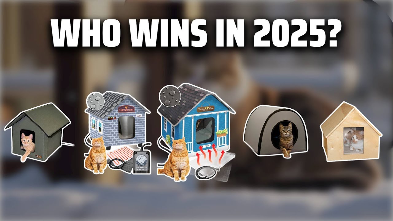 The Top 5 Best Heated Cat House in 2025 - Must Watch Before Buying!