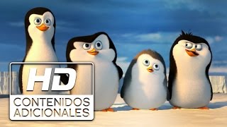 Los Pingüinos de Madagascar - "Conociendo a los Pingüinos" en Español (HD) |