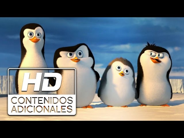 En Busca del Hada Azul: Dos pingüinos