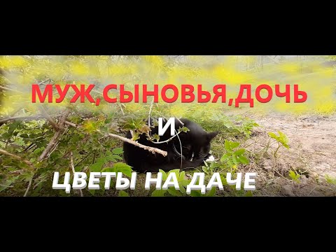 Дачный огород и