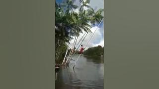 Video super lucu : Lomba manjat pohon kelapa
