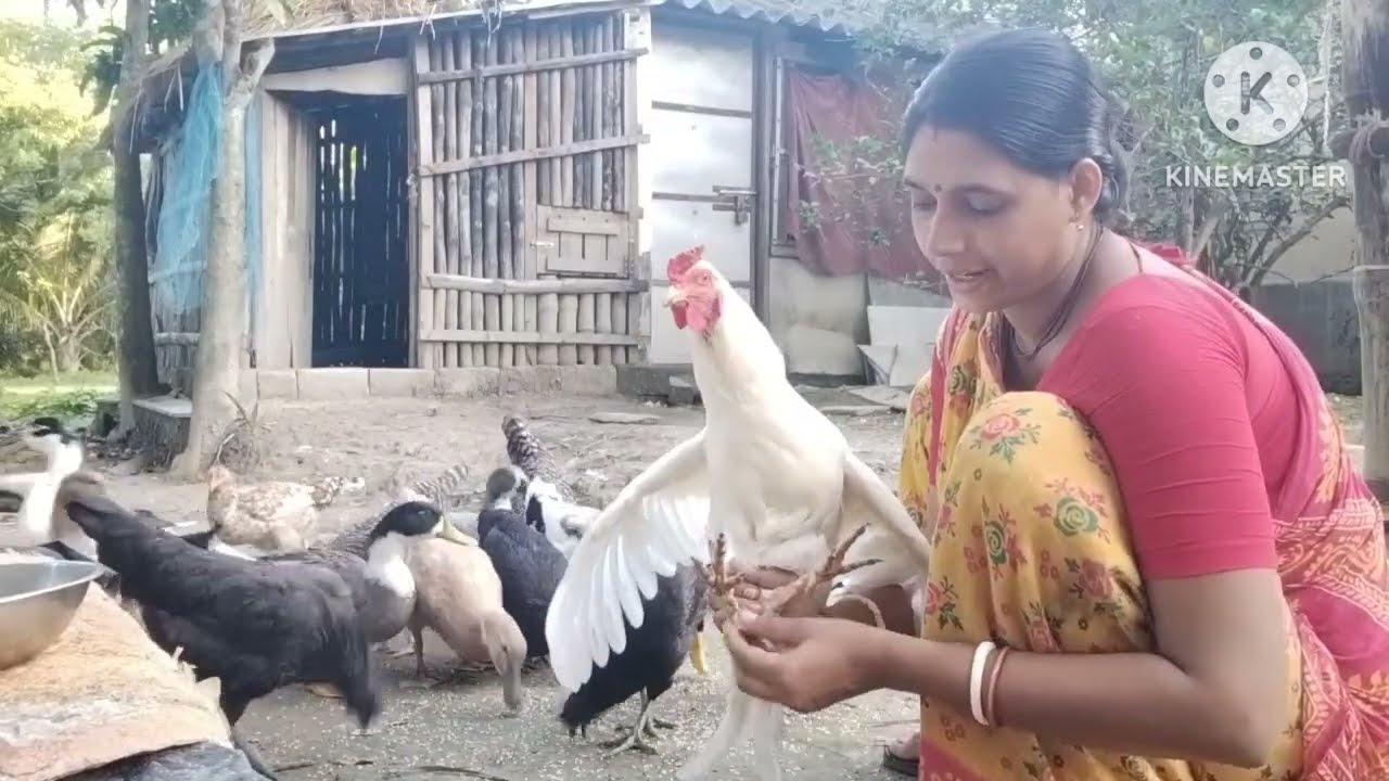 🐓খেলার মোরগ কিভাবে চেনা যায় আজ আমি বলেই দিলাম 🐓#viralvideos #