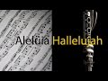 Aleluia (Hallelujah) - Gabriela Rocha  - Partitura para Clarinete (COVER) - GRÁTIS