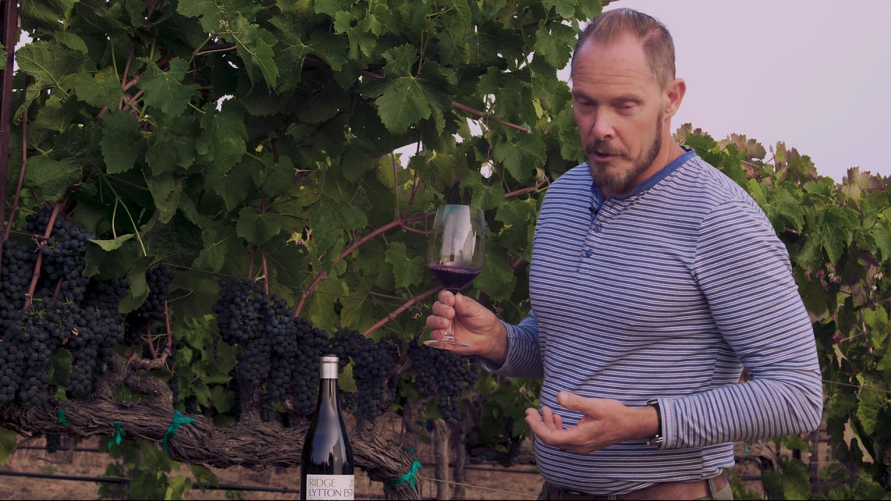 2013 LYTTON ESTATE SYRAH