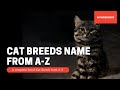 Cat Breeds Name A-Z : A complete list of Cat Breeds from A-Z , Origin and Characteristics