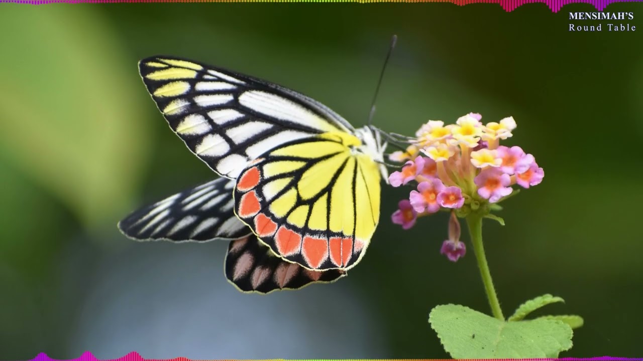 The Power Is in the Feminine: Why Women Must Trust Their Intuition Now More Than Ever!