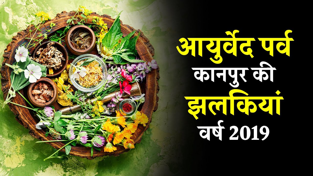 Ayurveda Parv Kanpur 7 YouTube