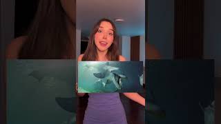 Funando A Los Delfines Otra Vez