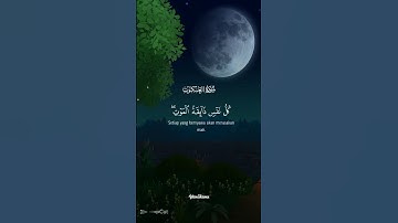 #القران #سورة العنكبوت #اكسبلور