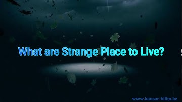 Excel 9th grade Module 3 What are Strange Place to Live?