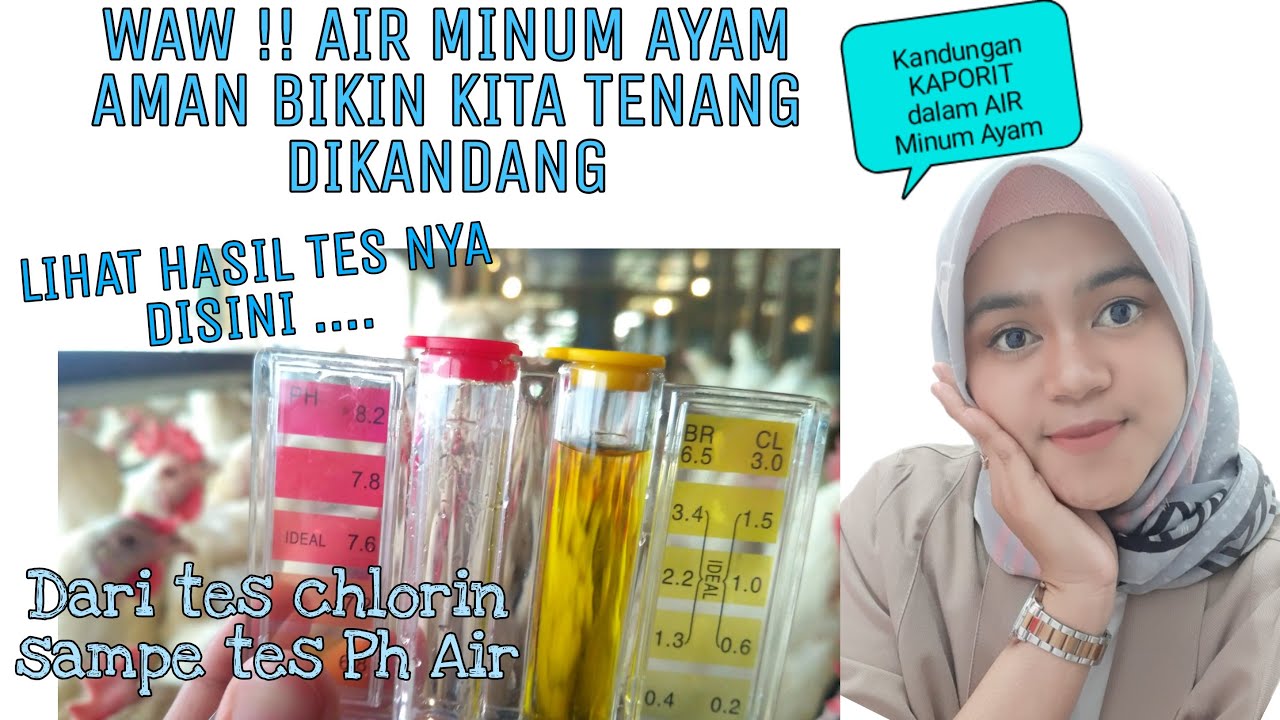 CARA PEMERIKSAAN KADAR CHLORIN AIR MINUM AYAM | AIR MINUM AMAN UNTUM AYAM | KAPORIT DALAM AIR MINUM