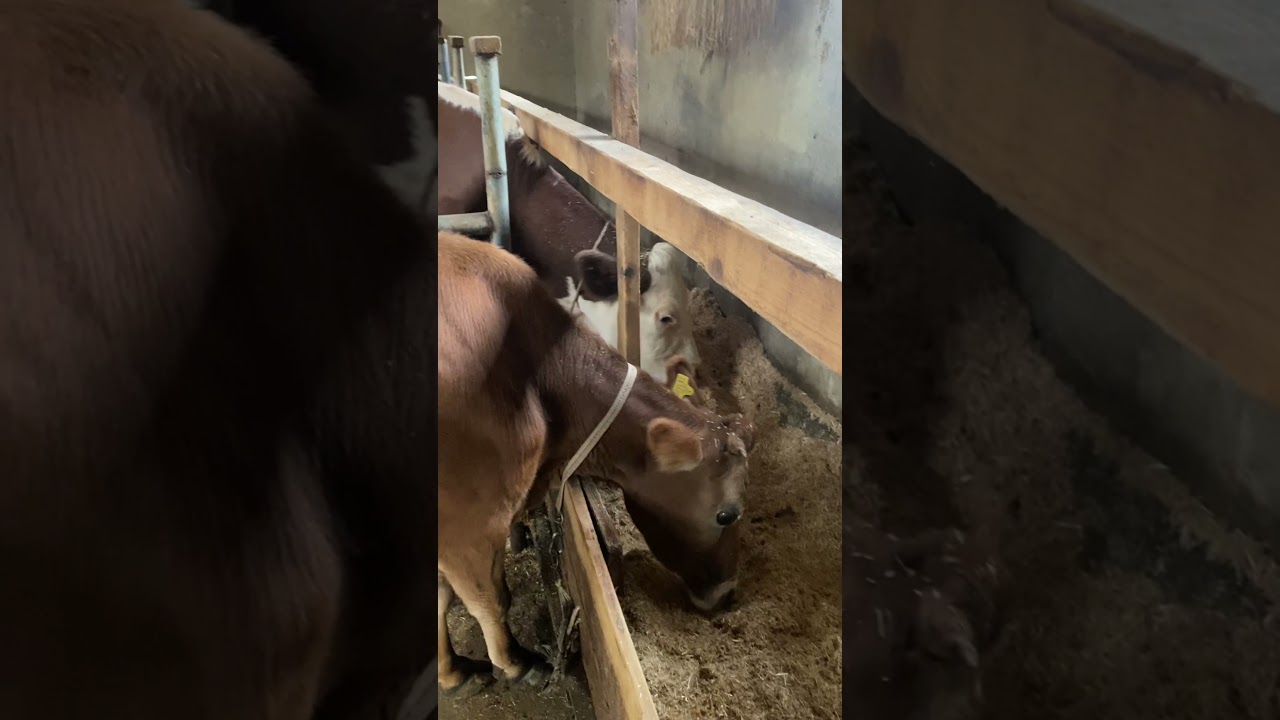 Rize Recep Kaya Hocamı Ziyaret