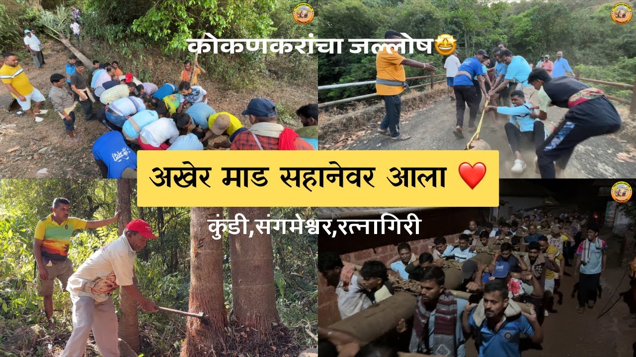 परंपरेचा मान आणि गावचा अभिमान... अखेर कुंडी गावचा माड सहानेवर आला! 🚩#Shimga, #Shigmo, #Shigmotsav