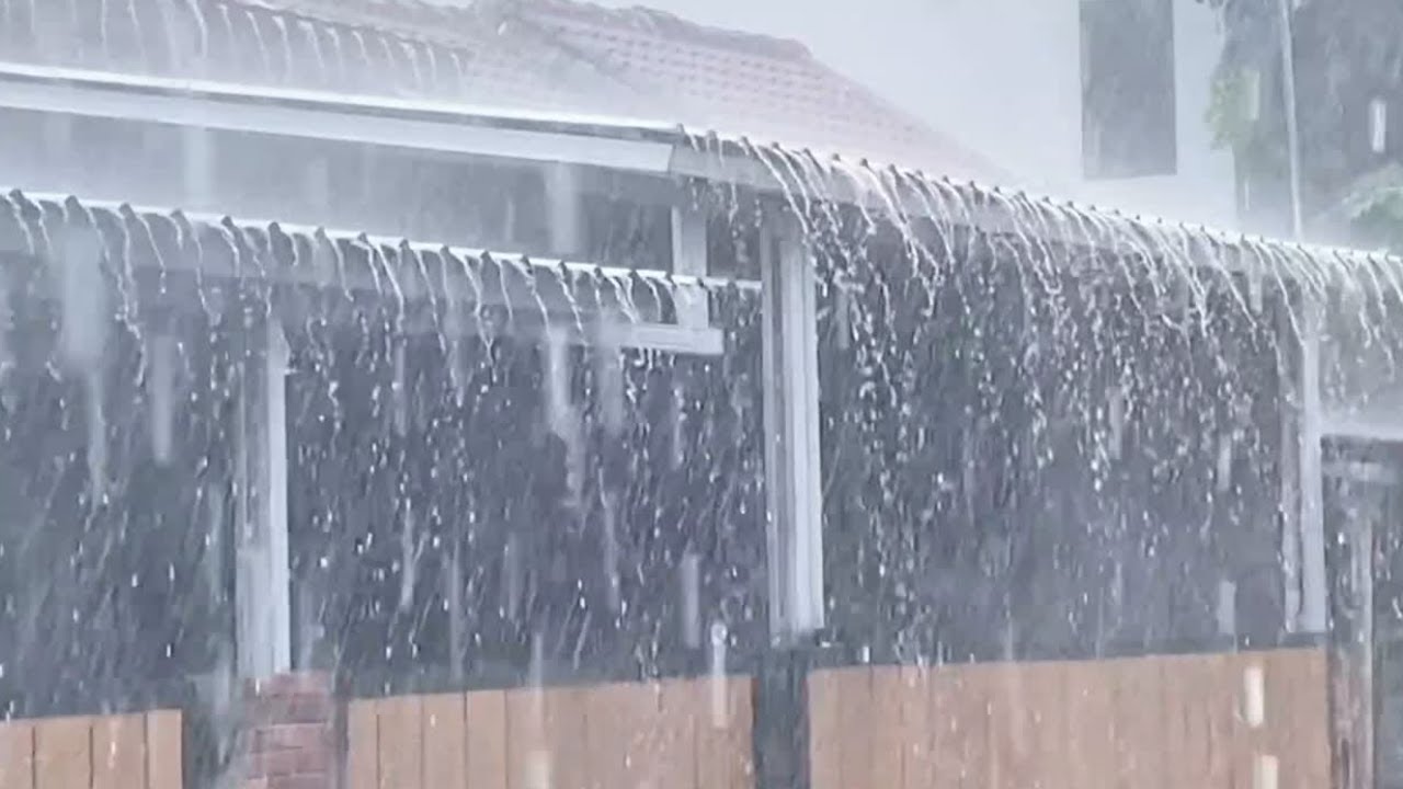 Rich Heavy Rainfall 🌧️ ASMR Sleep Sounds for Insomnia & Deep Relaxation