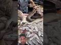 Amazing Big Shilvar Fish Cutting Skills In Gazipur Market Delhi #shortvideo #fish #rrrm