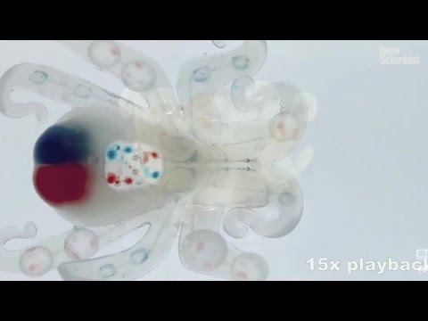 science jobs london Octobot: the first entirely autonomous soft robot