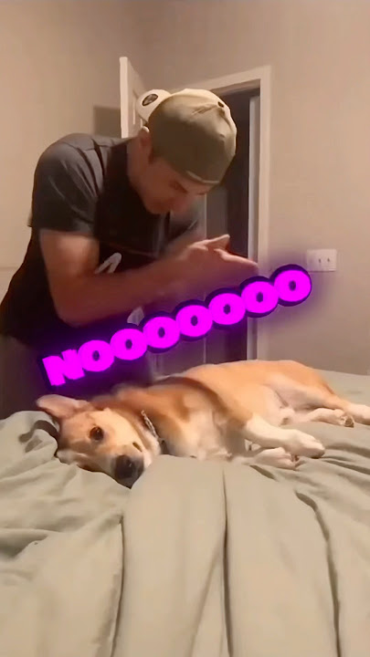 Don’t Check The Sound 😭❤️