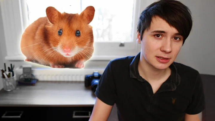 The Story of My Hamster